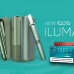 日版TEREA煙彈 IQOS ILUMA專用煙彈 台灣現貨