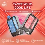 喜貝 Hebat 10000 Puffs 拋棄式電子煙 高續航大煙量多口味便攜小煙推薦