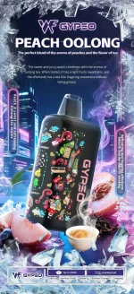 GYPSO 30000口拋棄式電子煙推薦